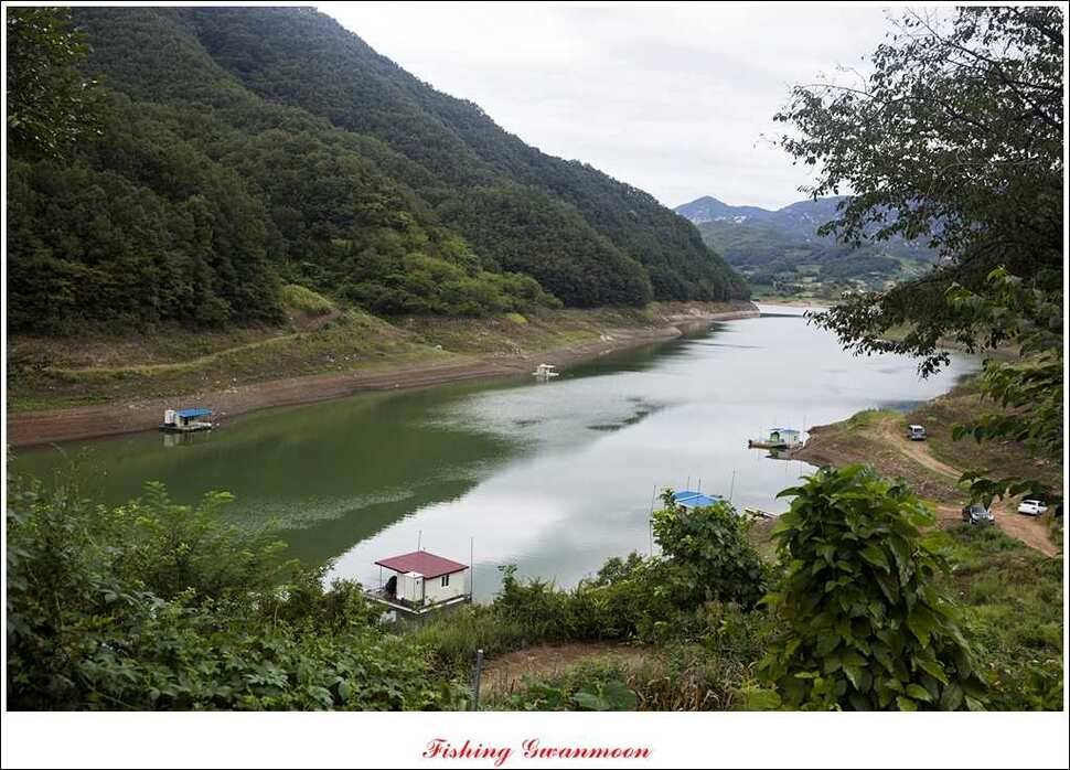실리곡 호조황한버들화곡지 조황 (조황조행기 - 특파원조황)