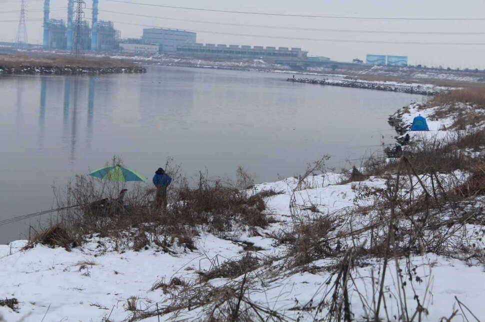 백봉수로 오늘 조황 (조황조행기 - 특파원조황)