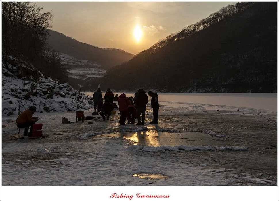 충주권 빙어 조황 (조황조행기 - 특파원조황)
