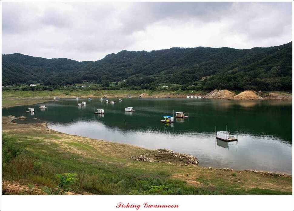 솔 낚시터실리곡 조황 (조황조행기 - 특파원조황)