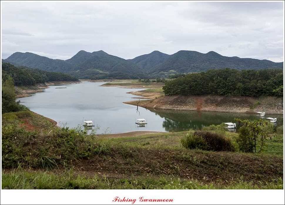 실리곡 호조황한버들화곡지 조황 (조황조행기 - 특파원조황)