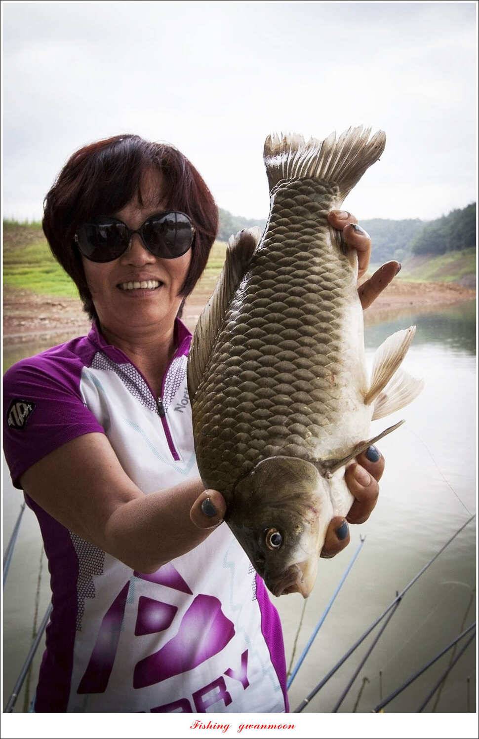 한버들 41 cm405 cm실리곡 마릿수 조황 (조황조행기 - 특파원조황)