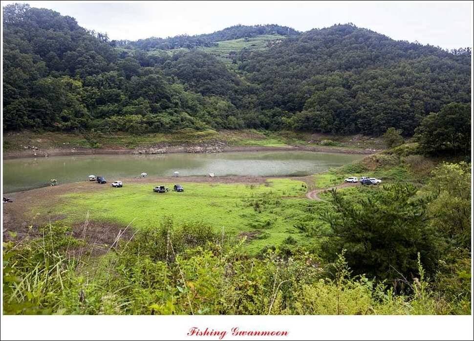 실리곡 호조황한버들화곡지 조황 (조황조행기 - 특파원조황)