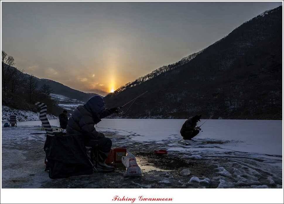 충주권 빙어 조황 (조황조행기 - 특파원조황)