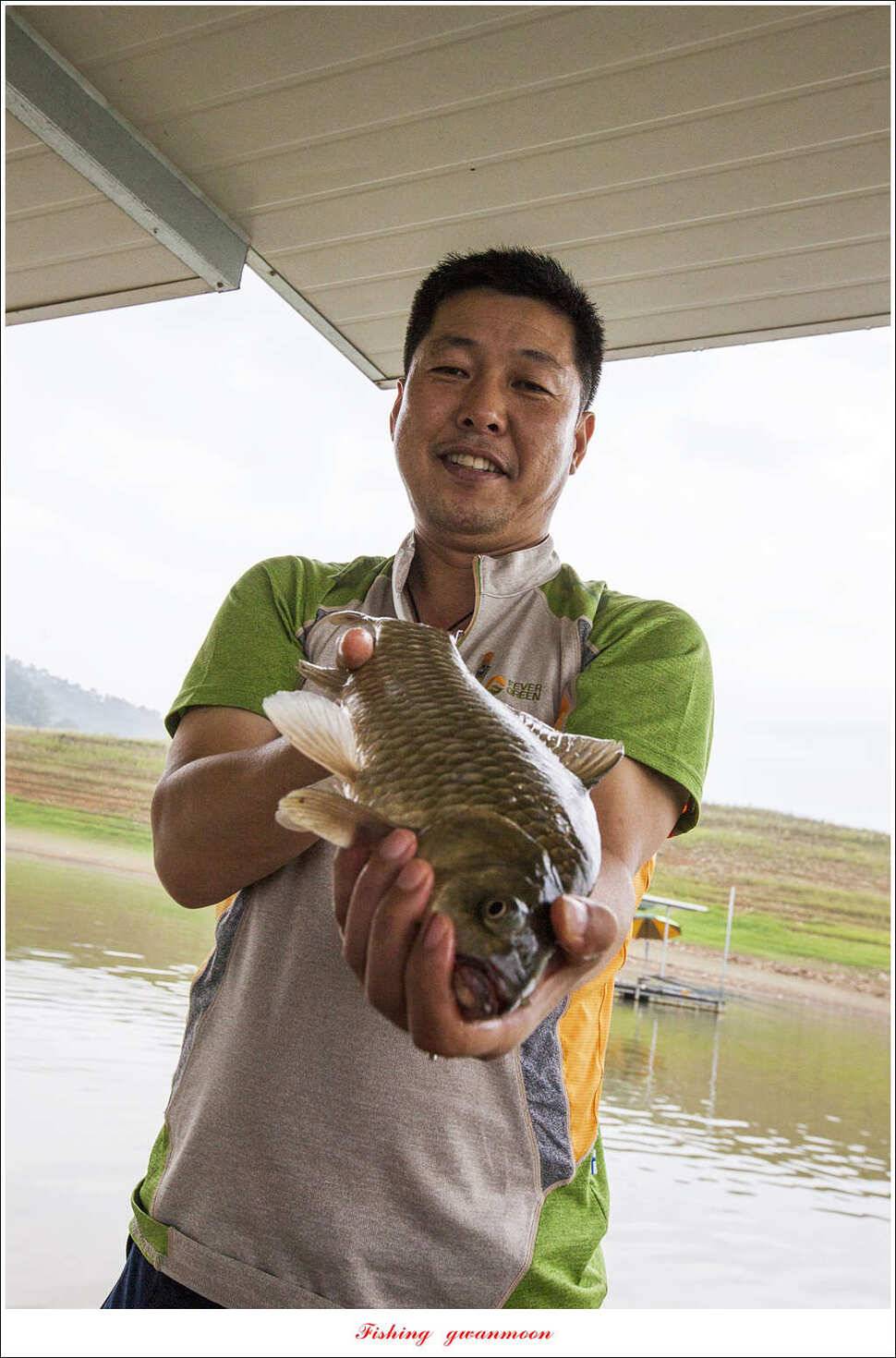 한버들 41 cm405 cm실리곡 마릿수 조황 (조황조행기 - 특파원조황)