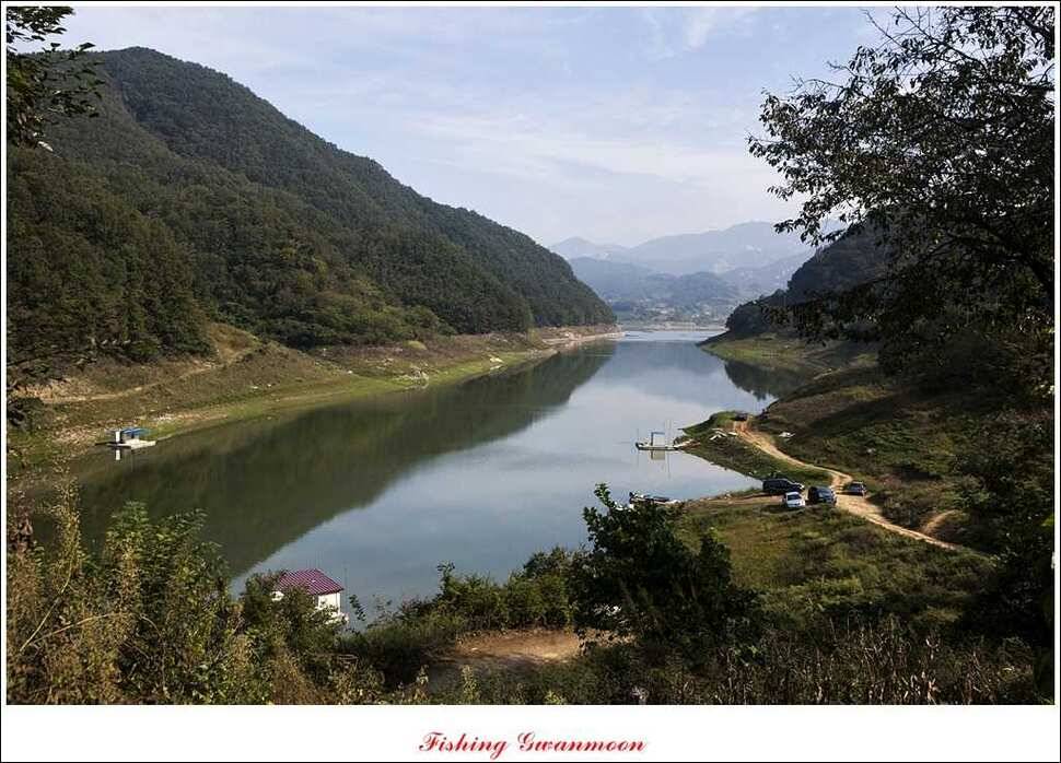 한버들실리곡돌감짱가네 조황 (조황조행기 - 특파원조황)