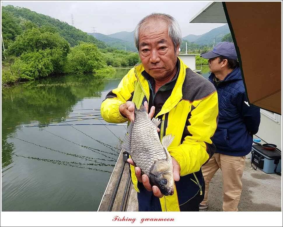 화곡지 사짜한버들 39 cm38 cm 돌감 마릿수 월척 호조황 (조황조행기 - 특파원조황)
