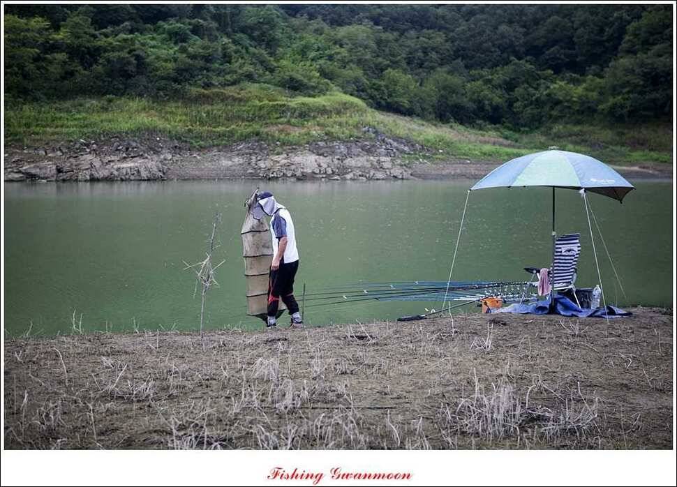 실리곡 호조황한버들화곡지 조황 (조황조행기 - 특파원조황)
