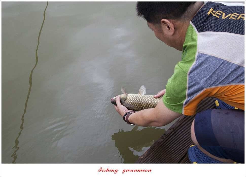 한버들 41 cm405 cm실리곡 마릿수 조황 (조황조행기 - 특파원조황)