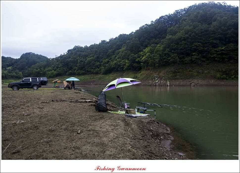 실리곡 호조황한버들화곡지 조황 (조황조행기 - 특파원조황)