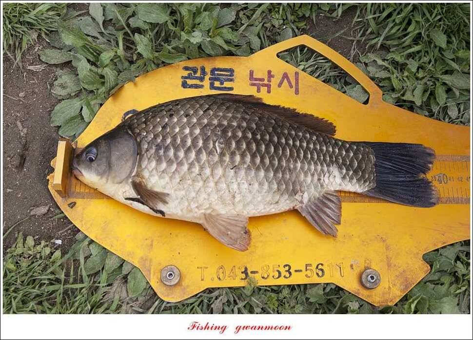 달천강 사짜추평지 사짜 (조황조행기 - 특파원조황)