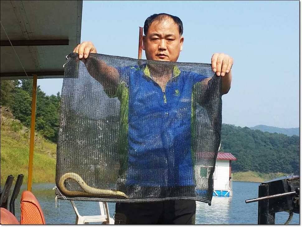 병호 39 cm늘푸른 장어 (조황조행기 - 특파원조황)