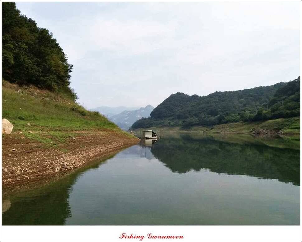 돌감실리곡 낚시터 월척 (조황조행기 - 특파원조황)
