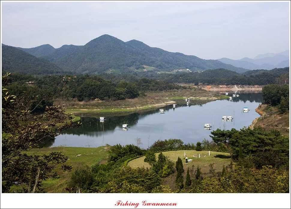 한버들실리곡돌감짱가네 조황 (조황조행기 - 특파원조황)