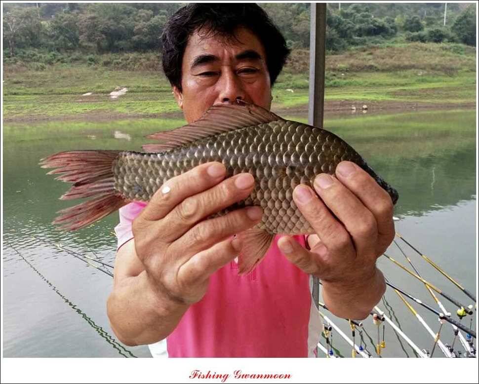 돌감실리곡 낚시터 월척 (조황조행기 - 특파원조황)