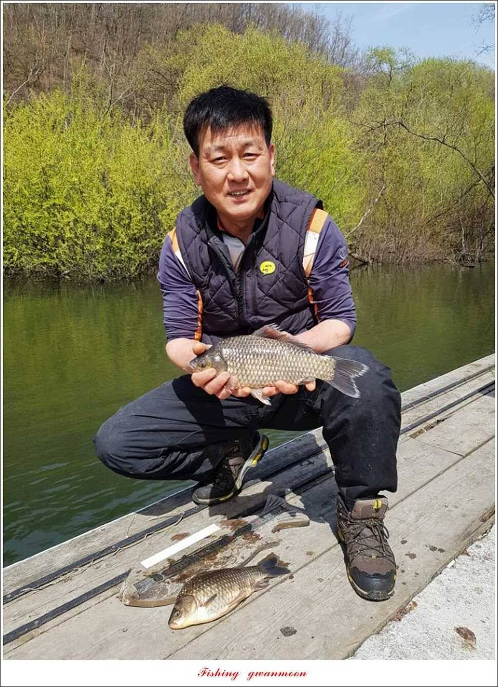 매전지 395 cm화곡지 조황 (조황조행기 - 특파원조황)
