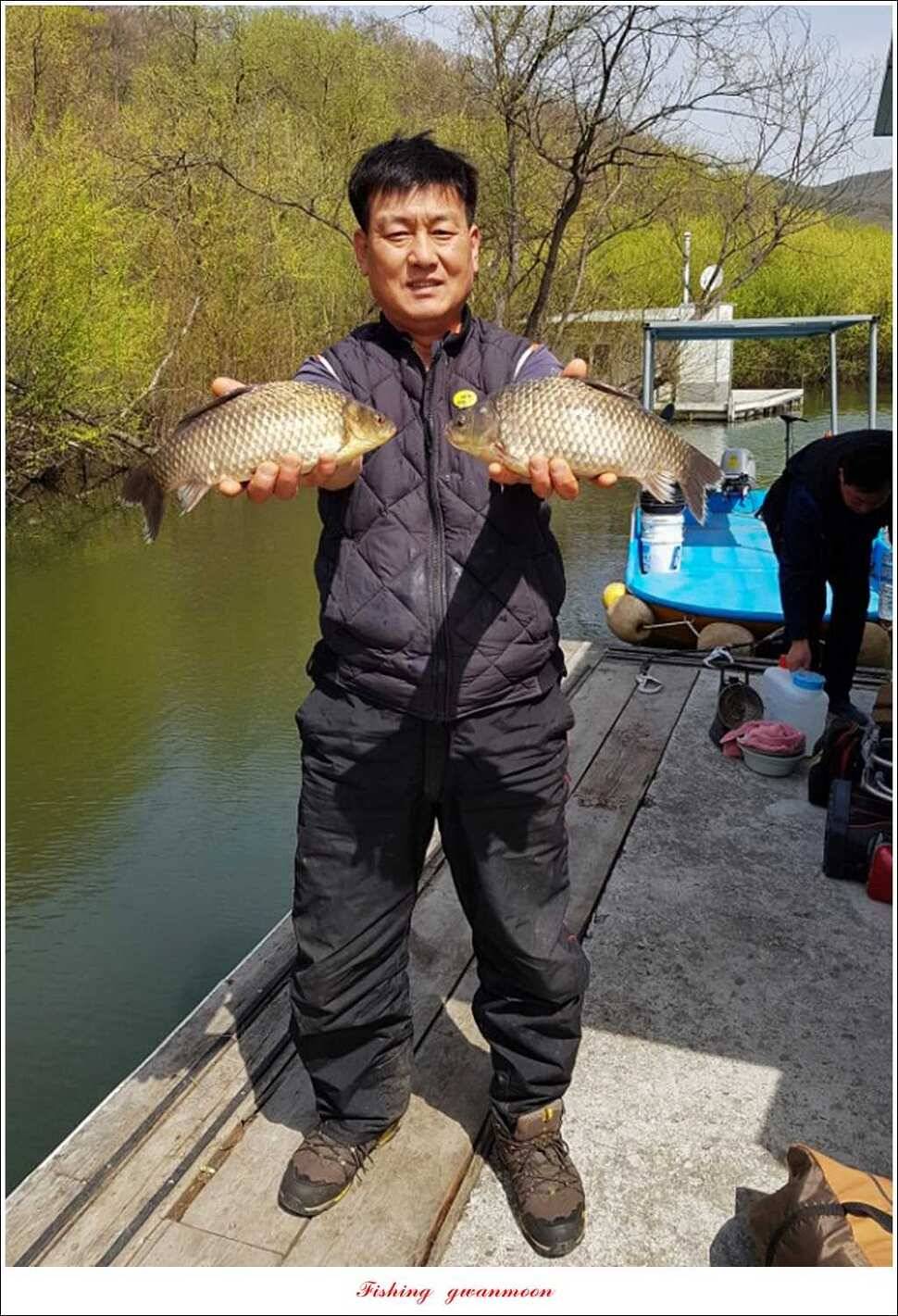 매전지 395 cm화곡지 조황 (조황조행기 - 특파원조황)