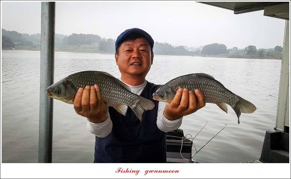 늘푸른실리곡한버들노지 조황 (조황조행기 - 특파원조황)