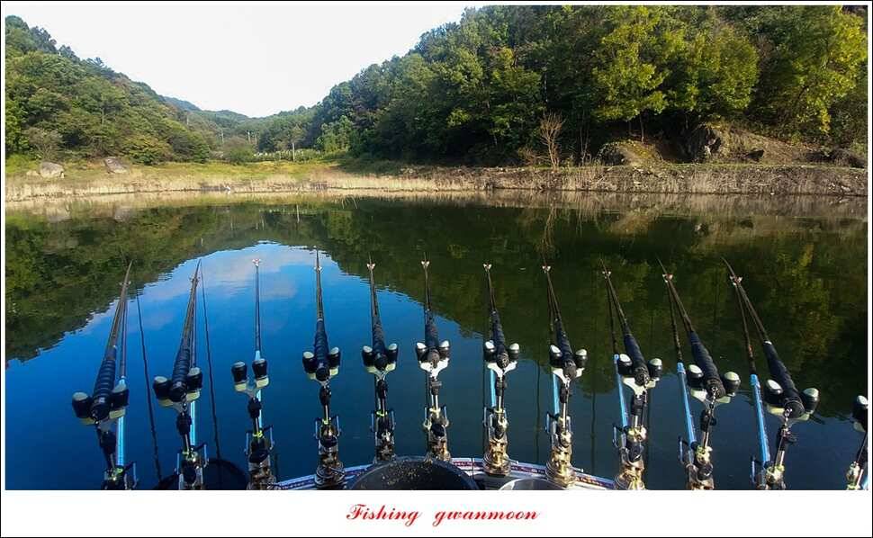 제일 사짜신매돌감 월척 조황 (조황조행기 - 특파원조황)