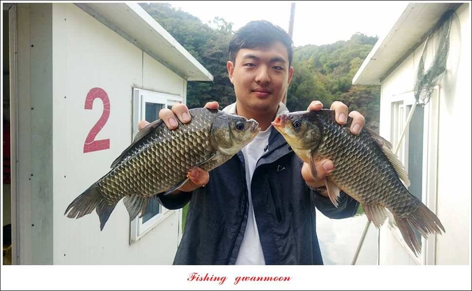 제일 사짜신매돌감 월척 조황 (조황조행기 - 특파원조황)