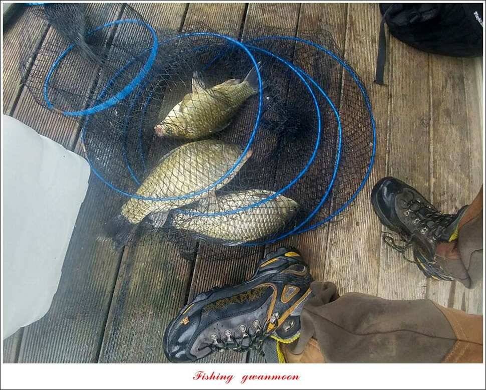 추평지 504 cm485 cm화곡지돌감실리곡 조황 (조황조행기 - 특파원조황)