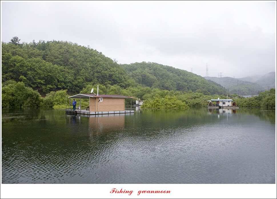 추평지 504 cm485 cm화곡지돌감실리곡 조황 (조황조행기 - 특파원조황)