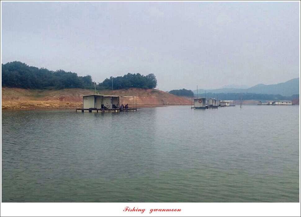 신매돌감화곡지 월척 조황 (조황조행기 - 특파원조황)