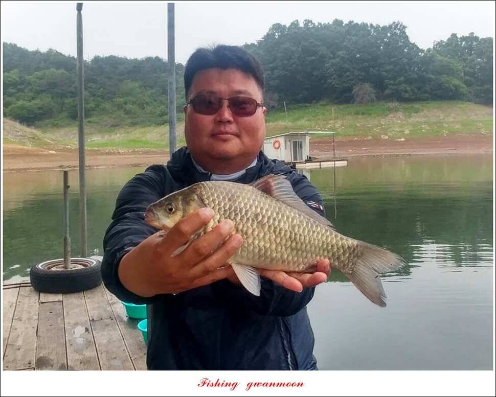 추평지 사짜병호 38 cm돌감한버들 실리곡 월척 조황 (조황조행기 - 특파원조황)