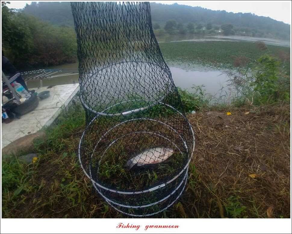 실리곡칠성지 월척 조황 (조황조행기 - 특파원조황)