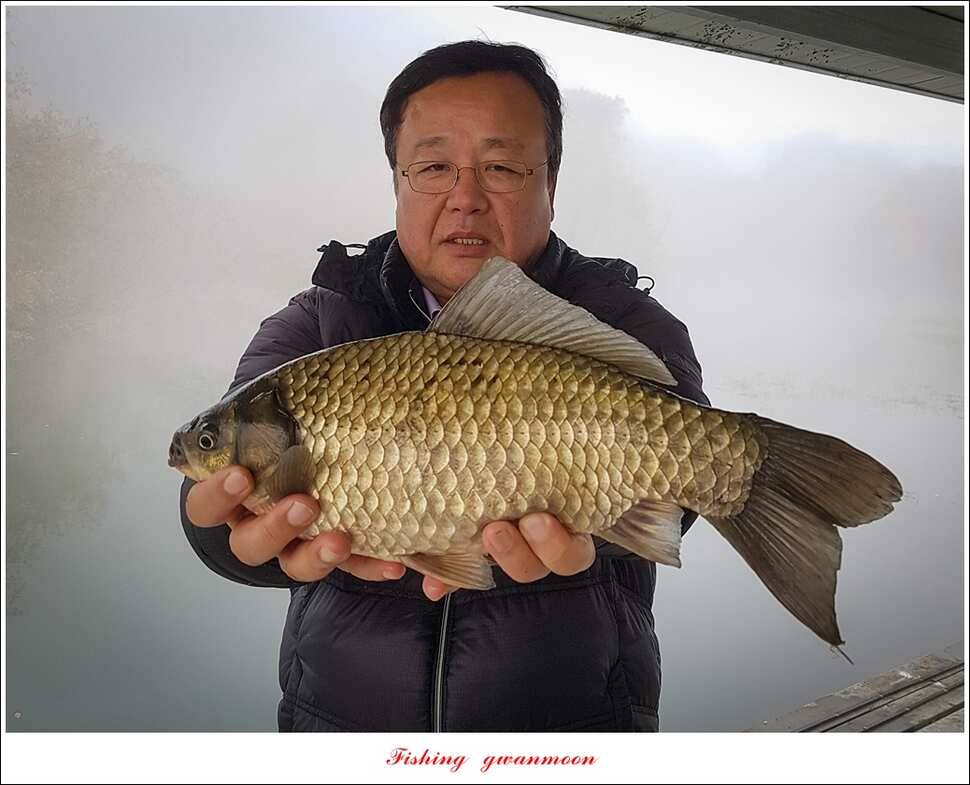화곡지 사짜 및 조황 소식 (조황조행기 - 특파원조황)