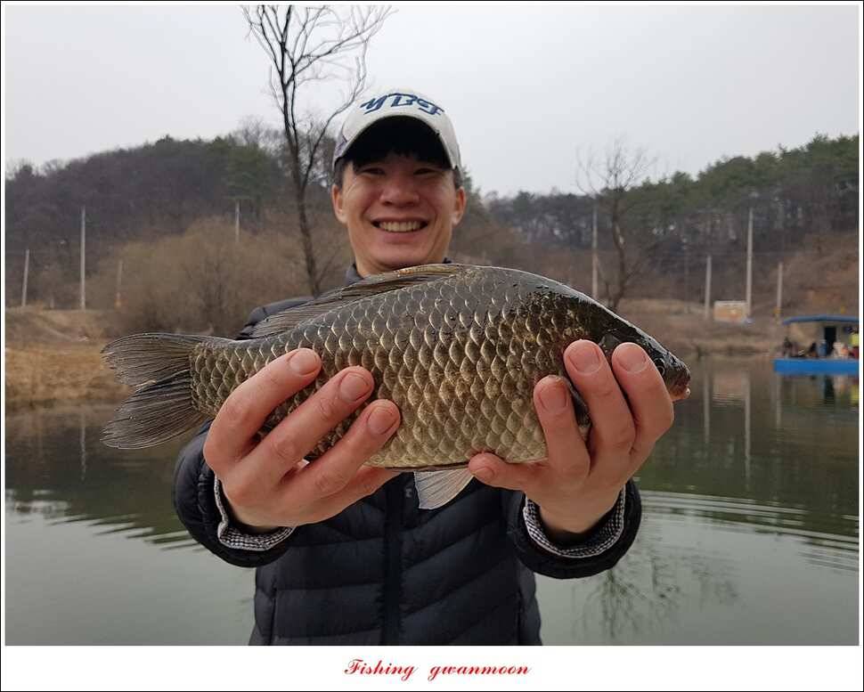 화곡지 사짜 및 마릿수 월척 조황 (조황조행기 - 특파원조황)