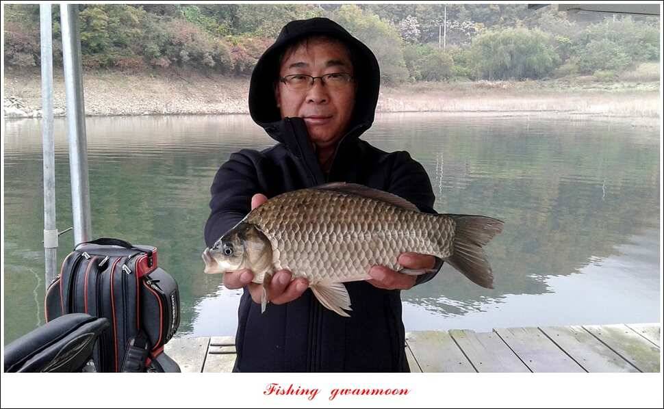 신매 42 cm 돌감 허리급한버들실리곡달천강 월척 조황 (조황조행기 - 특파원조황)