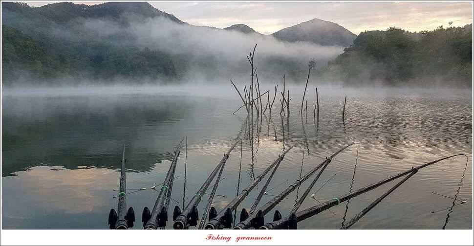 pro_johwang_0f95b_063004_65111.jpg