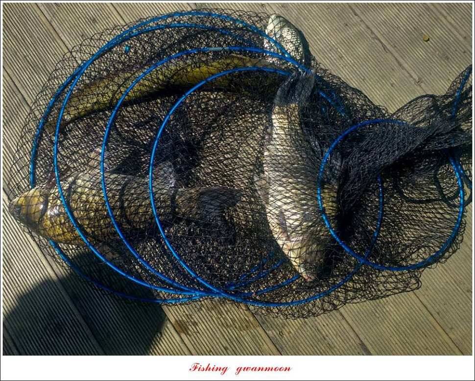 신리 46cm41cm병호 41cm돌감 40 cm (조황조행기 - 특파원조황)