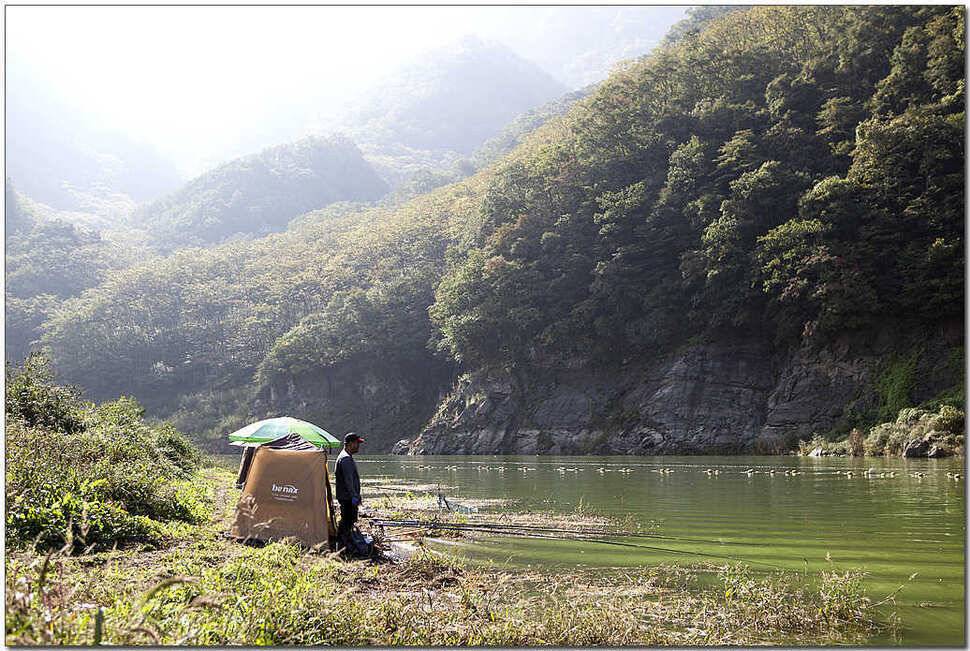 추산지 마릿수명서 46 cm 대물 (조황조행기 - 특파원조황)