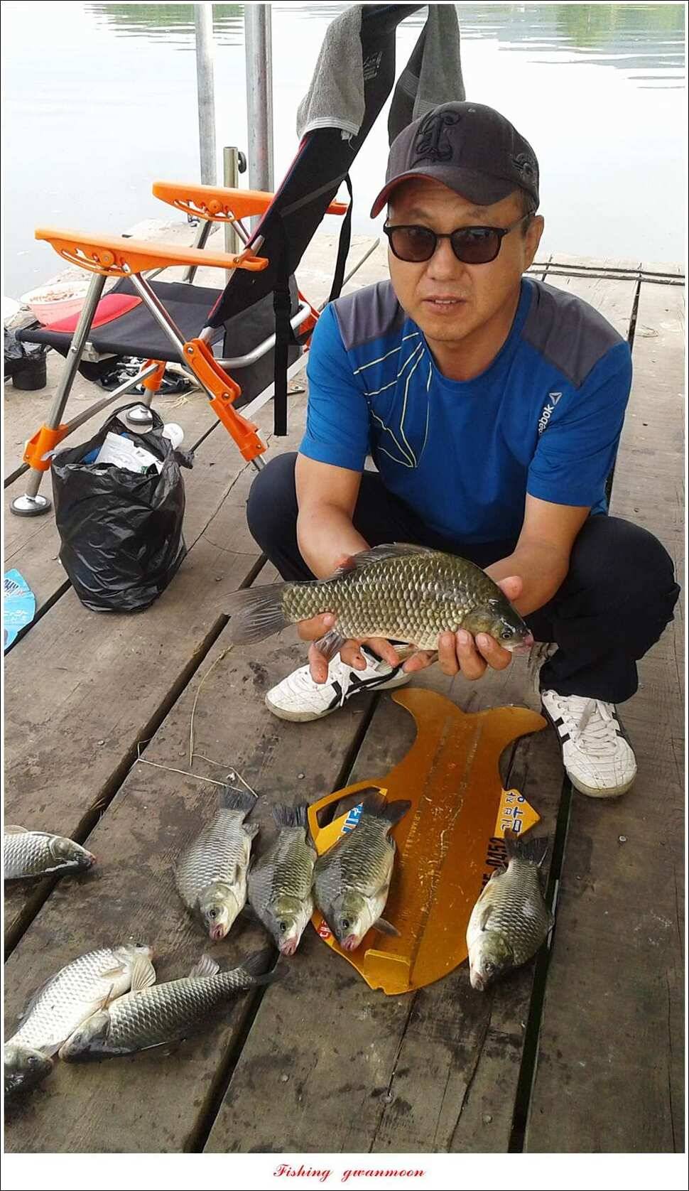 신매 사짜윤한버들 월척 조황 (조황조행기 - 특파원조황)