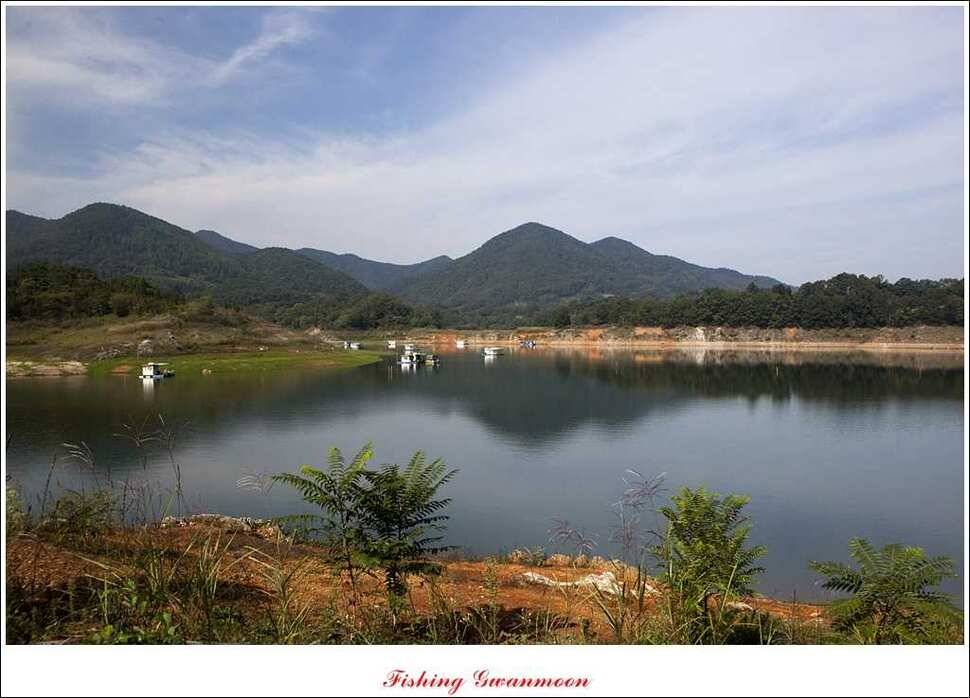 한버들실리곡돌감짱가네 조황 (조황조행기 - 특파원조황)