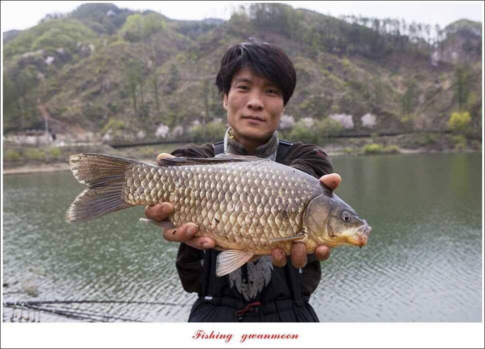 달천강 사짜추평지 사짜 (조황조행기 - 특파원조황)