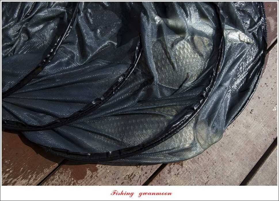 실리곡 월척화곡지 사짜달천강 대물 조황 (조황조행기 - 특파원조황)