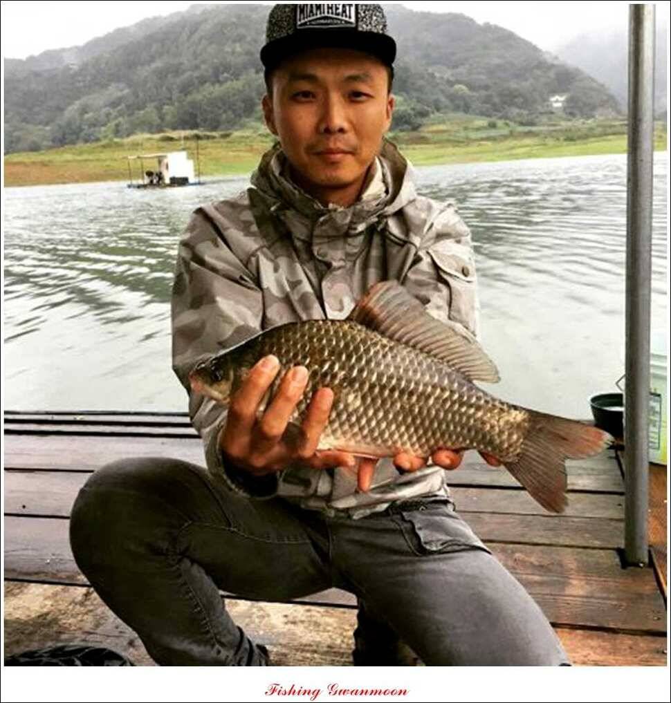한버들실리곡돌감짱가네 조황 (조황조행기 - 특파원조황)
