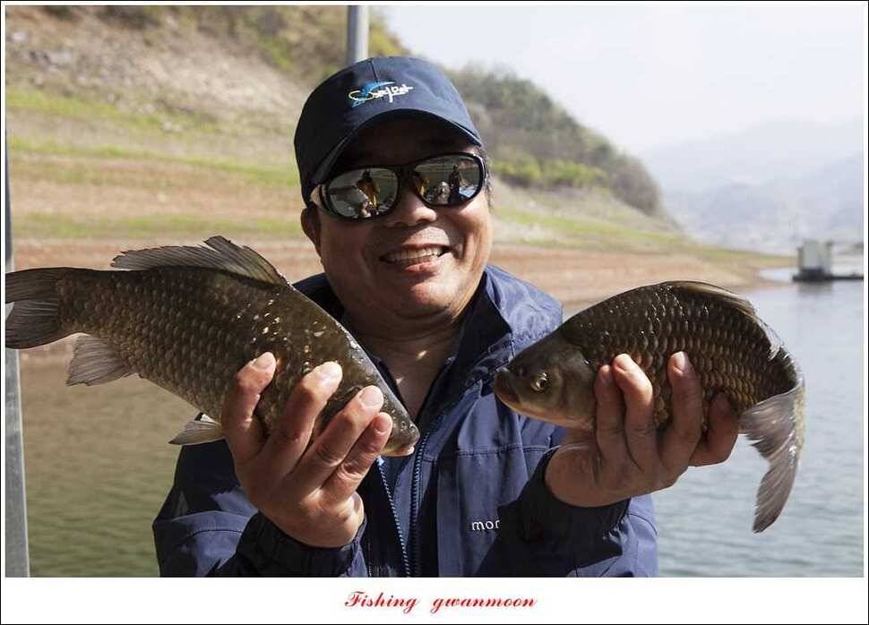 실리곡 월척화곡지 사짜달천강 대물 조황 (조황조행기 - 특파원조황)