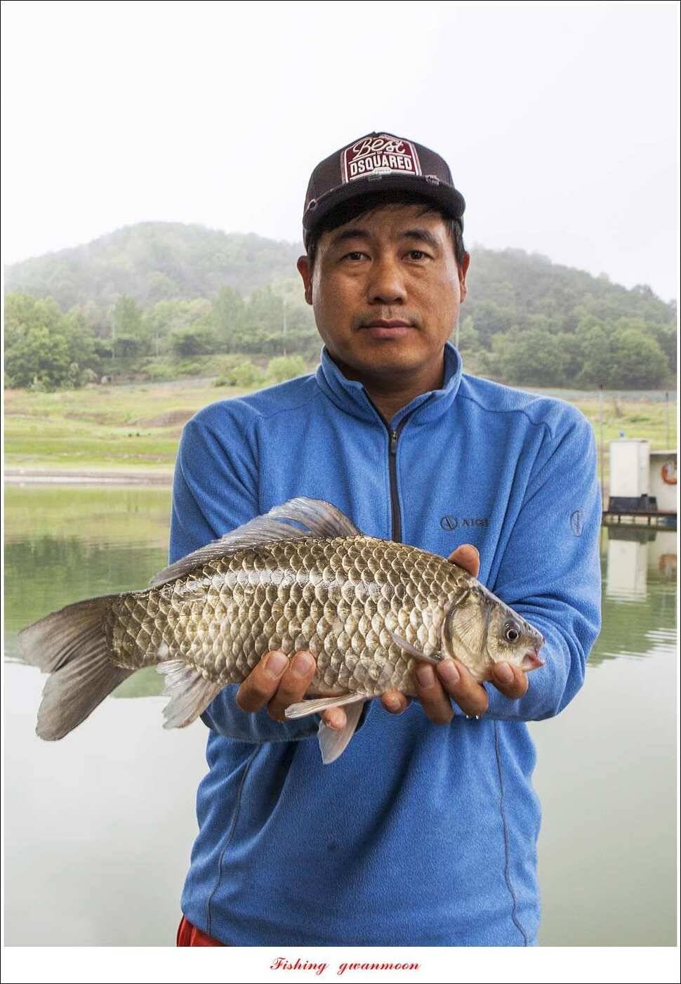 화곡지 사짜한버들 39 cm38 cm 돌감 마릿수 월척 호조황 (조황조행기 - 특파원조황)