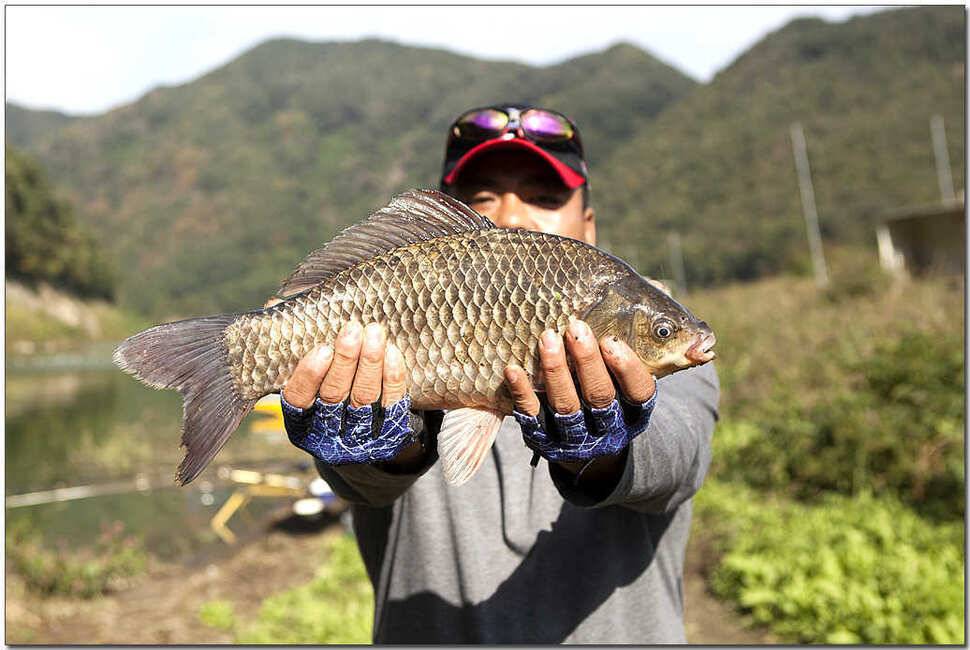 추산지 마릿수명서 46 cm 대물 (조황조행기 - 특파원조황)