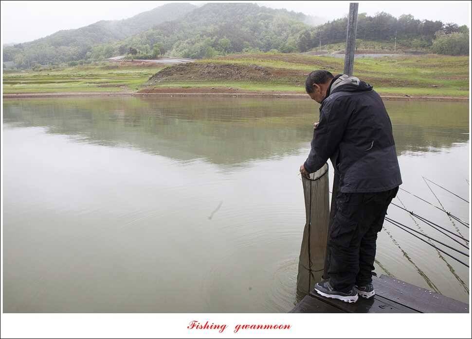 화곡지 사짜한버들 39 cm38 cm 돌감 마릿수 월척 호조황 (조황조행기 - 특파원조황)