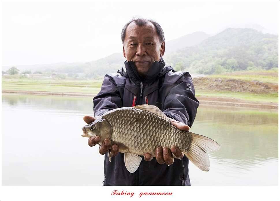 화곡지 사짜한버들 39 cm38 cm 돌감 마릿수 월척 호조황 (조황조행기 - 특파원조황)