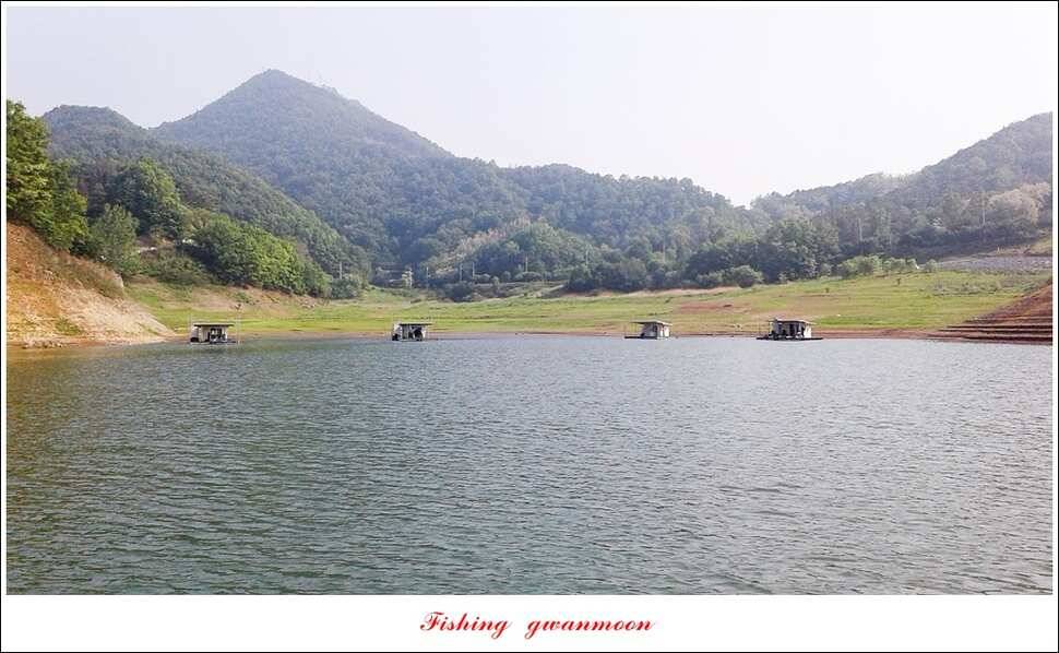 실리곡한버들 월척 조황 (조황조행기 - 특파원조황)
