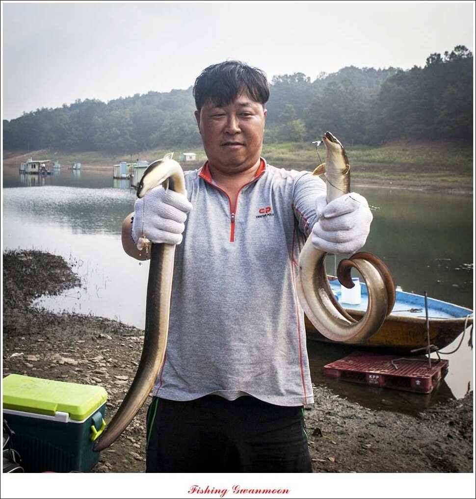 문골 장어돌감실리곡한버들 조황 (조황조행기 - 특파원조황)