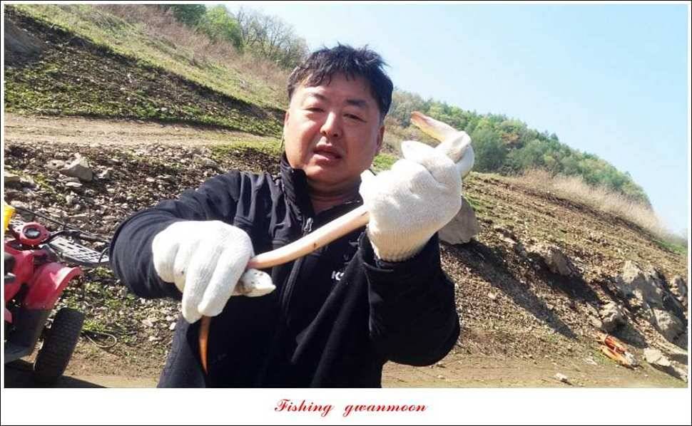 실리곡 월척화곡지 사짜달천강 대물 조황 (조황조행기 - 특파원조황)