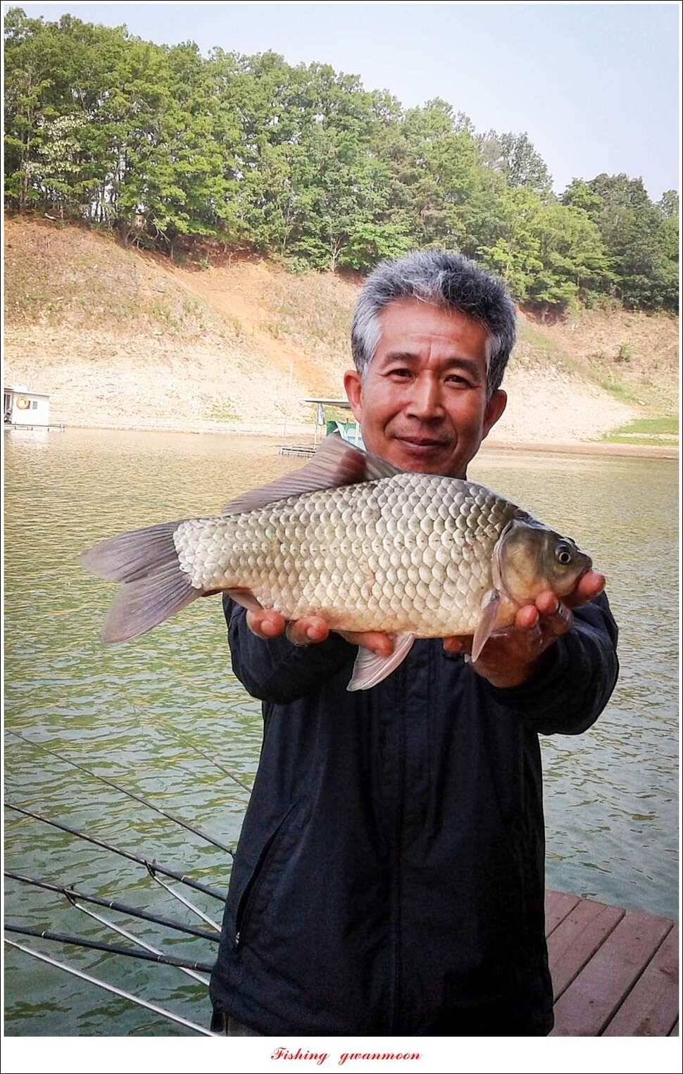 실리곡한버들 월척 조황 (조황조행기 - 특파원조황)