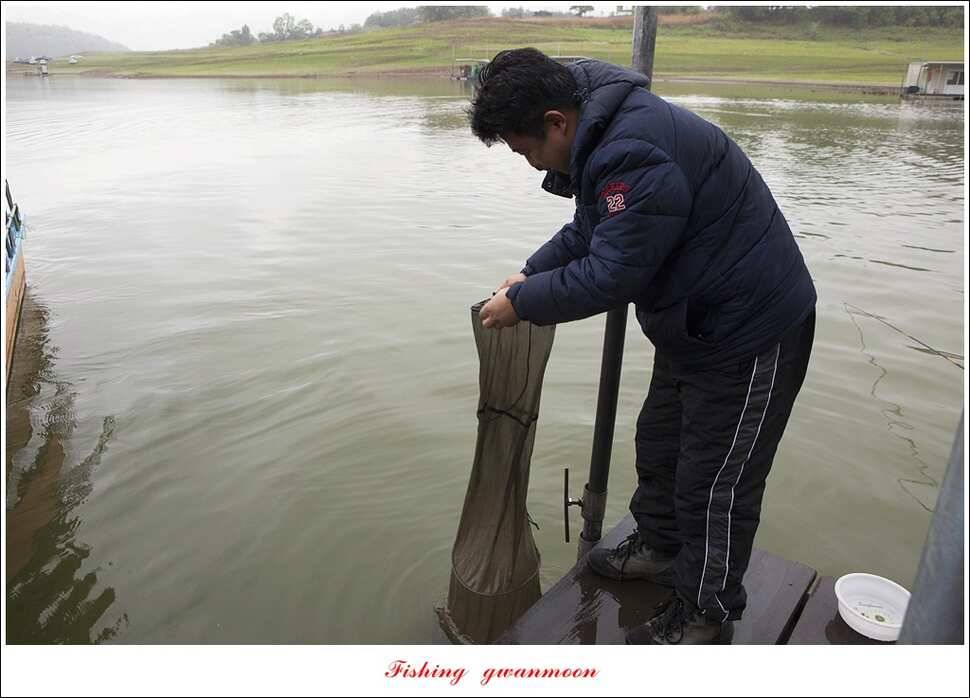 화곡지 사짜한버들 39 cm38 cm 돌감 마릿수 월척 호조황 (조황조행기 - 특파원조황)